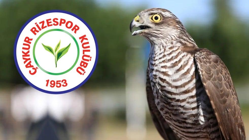 Çaykur Rizespor'un İki Yüzü: Deplasmanda Atmaca, İç Sahada Neden Bıldırcın?