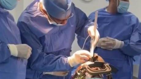 Parkinson'a Meydan Okuyan Zafer: Bir Sporcunun Mucizevi İyileşme Hikayesi