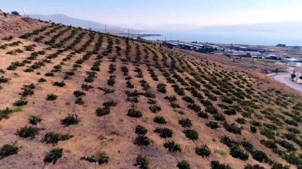 Türk Futbolunda Altyapı Devrimi: Sürdürülebilir Bir Yetenek Hasadı Mümkün mü?