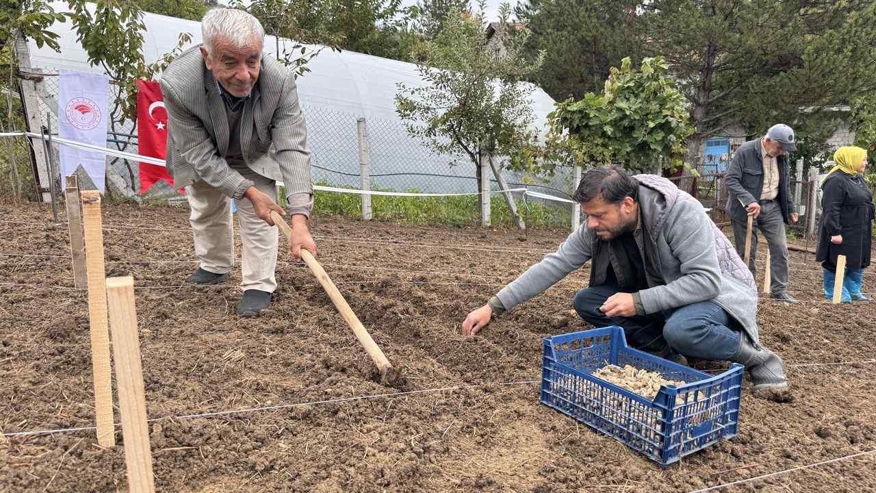 Anadolu'nun Yeni Futbol Üssü: Hangi Şehir Türk Futbolunun Geleceğini İnşa Ediyor?